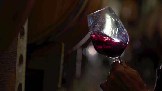 酿酒师测试葡萄酒宣传片视频素材空镜红酒