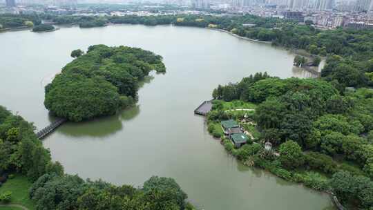 广州海珠湖湿地景观航拍