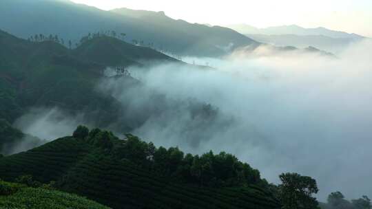 茶山云海延时