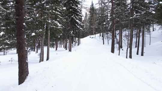 航拍新疆冬季喀纳斯湖雪景雪山森林冰河晨雾