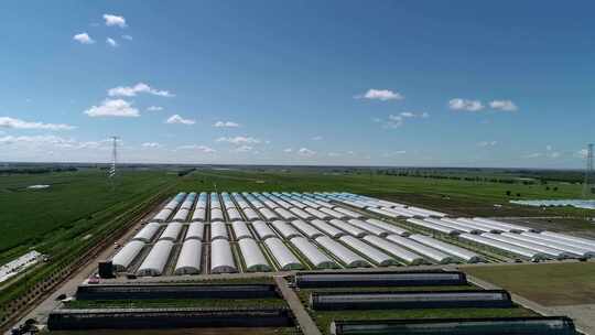 航拍三农业科技温室大棚规模果蔬菜种植基地