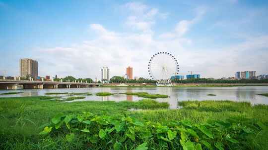 摩天轮旁的水域绿地风景