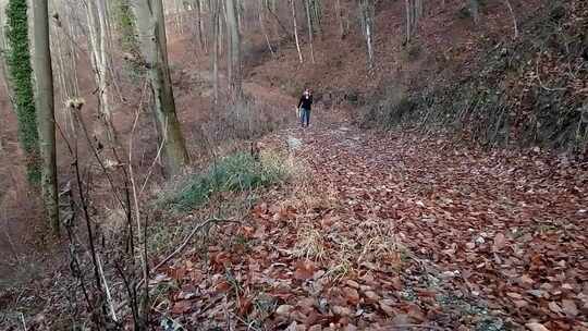 一个女人带着她的宠物狗在森林小径上山散步