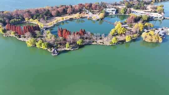 航拍深秋初冬徐州云龙湖风景区,红色水杉