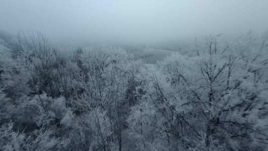 航拍冬季森林雾凇寒流严寒树枝上冰雪