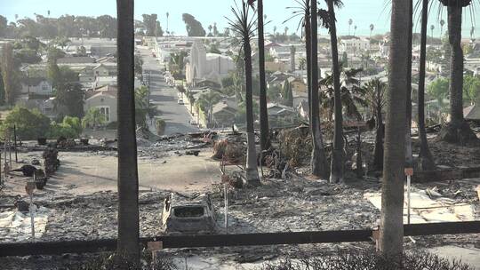 火灾之后被毁灭的森林和汽车景观