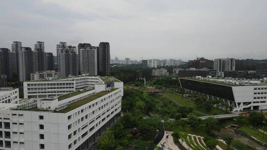 高等教育 教育 科研 经济学院