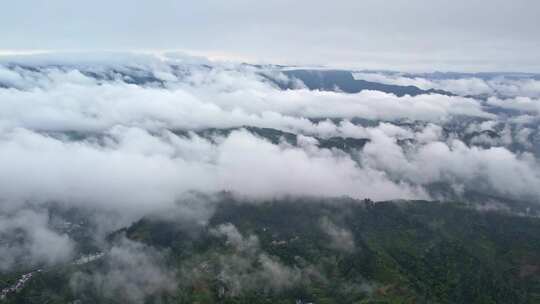 大雾清晨云雾大山云海森林自然云山脉山区