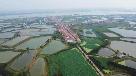 蔡甸桐湖湿地公园航拍