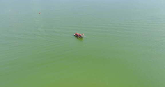 武汉东湖风景区夏季自然风光