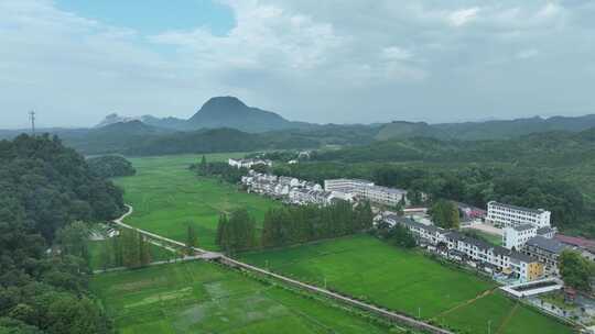 美丽乡村航拍田园风光绿色农村鸟瞰田野风景