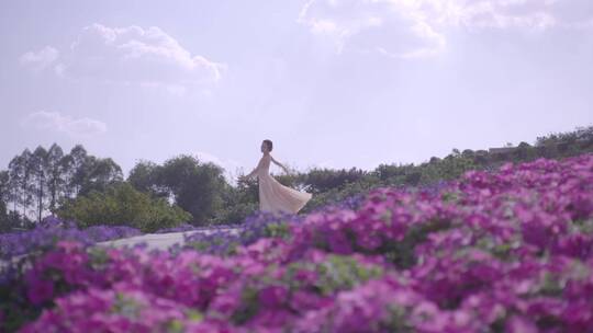 唯美美女在花海中跳舞春天鲜花盛开人比花娇