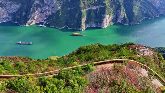 三峡红叶