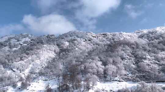 雪后村庄冬季旅游