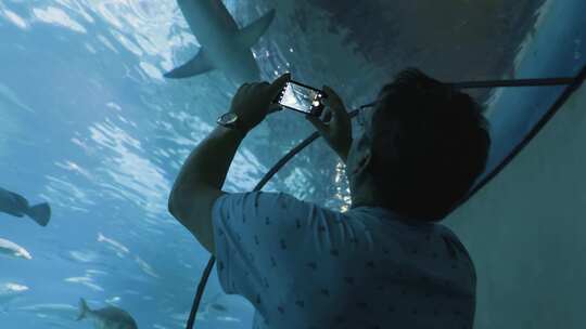 一名男子拍摄鲨鱼在海洋水族馆游泳