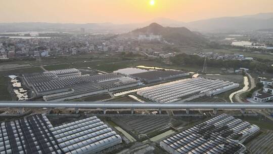 大气 航拍 福建 泉州 农场 农业 美景