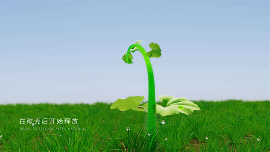 原创4k藤蔓开花logo演绎