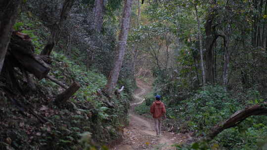 徒步旅行树林森林山林高山峡谷