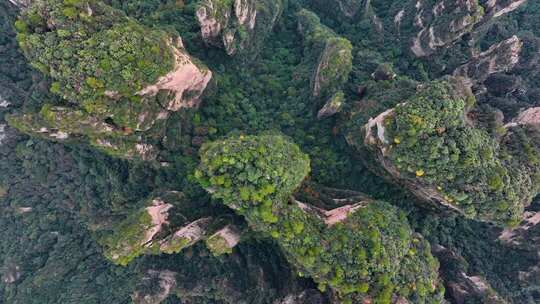 湖南张家界武陵源袁家界地质奇观