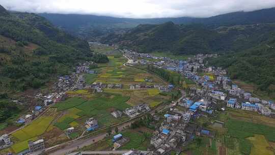 雷波马湖莼菜