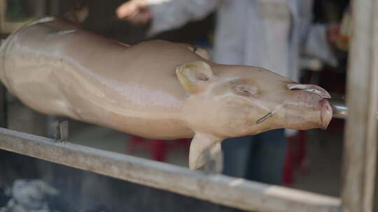 越南一家餐馆里，厨师给小猪刷油时，小猪被