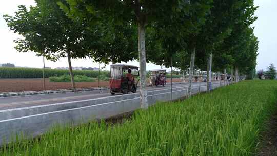 农村稻田田园风光航拍