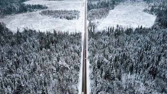 冬季雪地公路上行驶的汽车视频素材模板下载