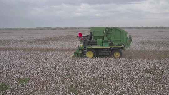 棉花农作物机械化采收