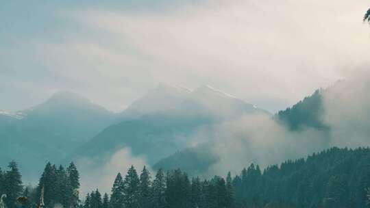 蒂罗尔阿尔卑斯山，雪，山脉，森林