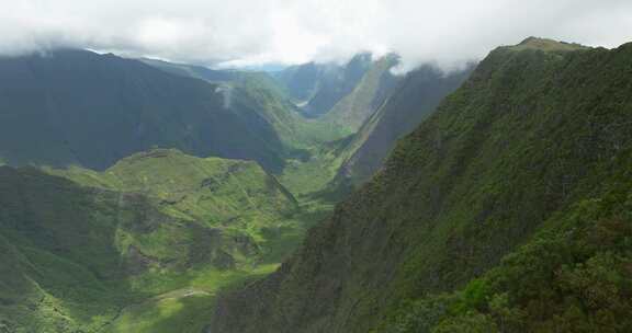 留尼汪岛，山谷，山脉，森林