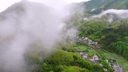 实拍雨后森林云雾缭绕 绿水青山 高山云海