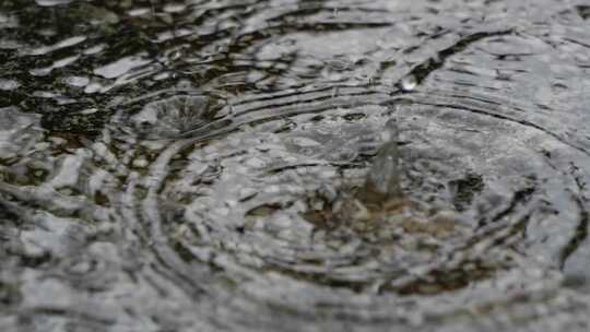 4K雨水滴在水中