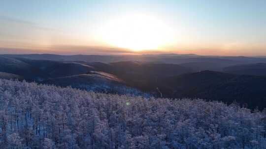 大兴安岭林海雪原雾凇夕照