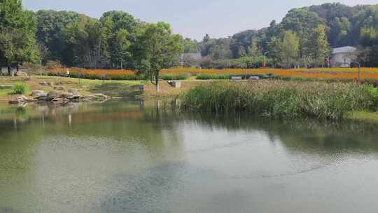 长沙园林生态园实拍