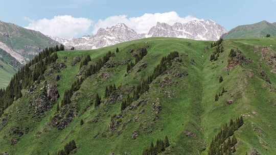 新疆独库公路中途雪山草原美景