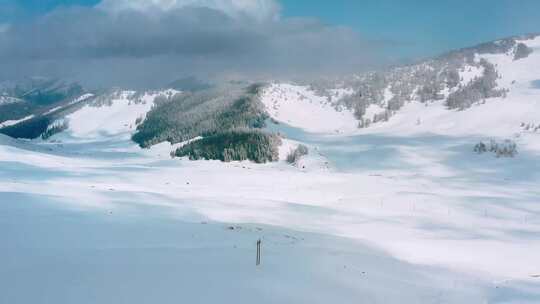 新疆禾木阿尔泰山里的林海雪原