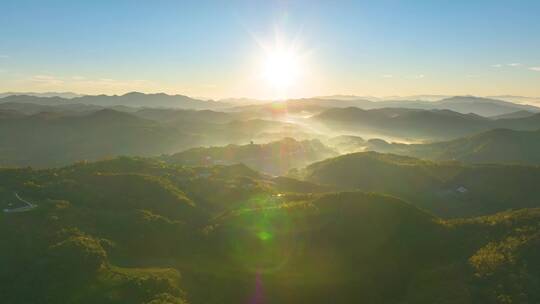 云雾下的茶山茶园