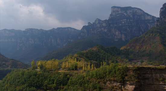 太行山峡谷金色杨树林【套组】