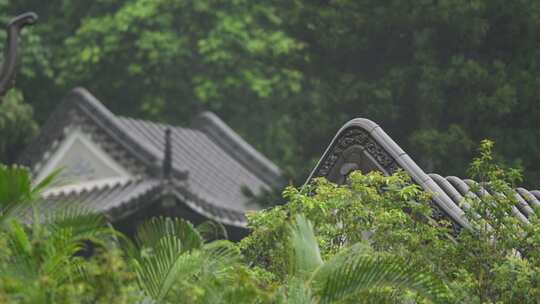 唯美屋檐下雨意境