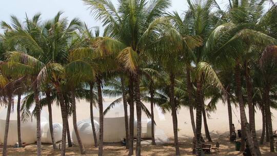 航拍海边的沙滩椰子树海景