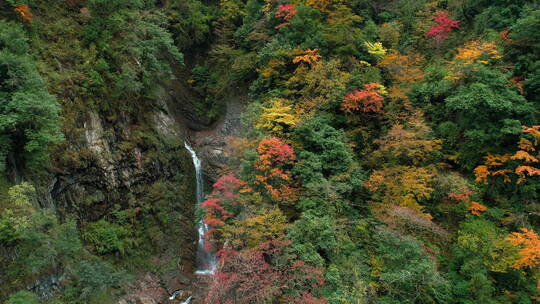 航拍秋天彩林瀑布自然风景