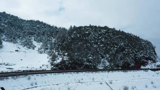 冬季白雾白雪覆盖森林高速公路行驶车辆