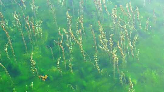 沕沕水 沕沕水天池 沕沕水景区