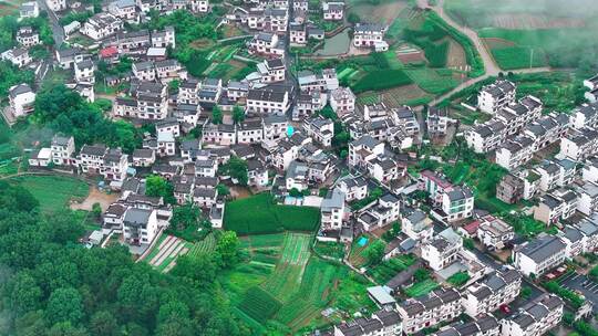 城市风景 人文 古村 绿化 乡村