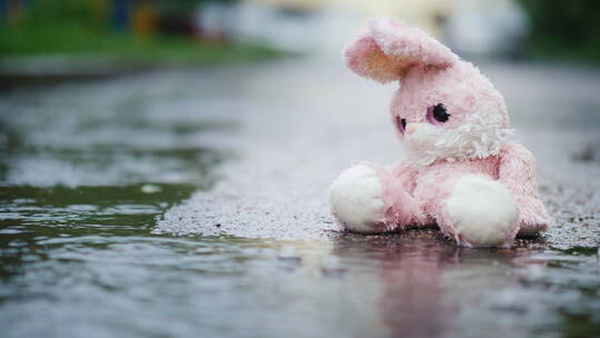 下雨天马路上的毛绒玩具视频素材模板下载