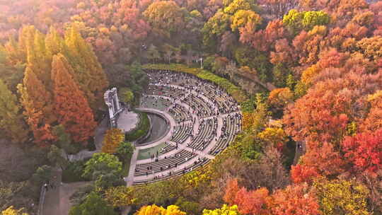 南京钟山风景区音悦台秋景