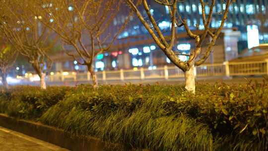 都市城市夜晚夜景人群行人人流汽车车辆车流