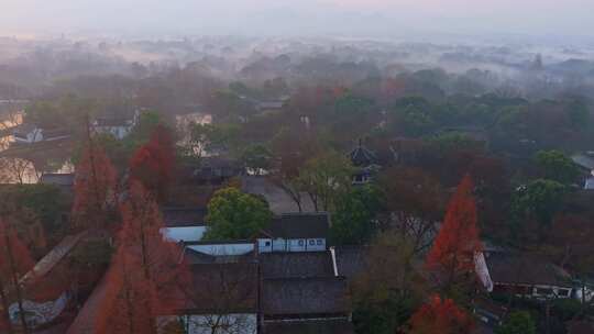 西溪湿地晨雾航拍