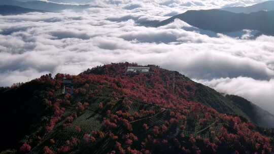 中国云南大理无量山樱花谷日出云海航拍