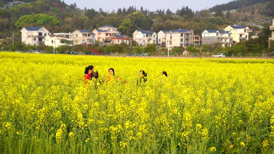 春游踏青 游玩 油菜花